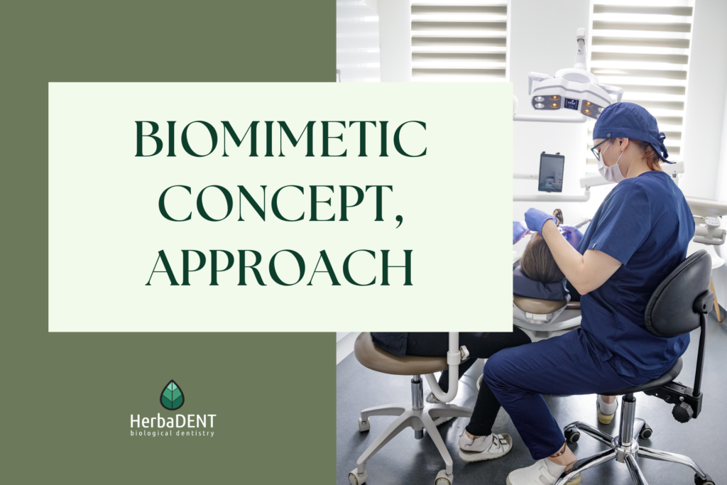 biomimetic concept approach